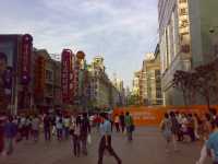 13052007136.jpg