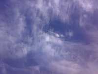 13052007163.jpg