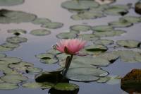 IMG_6788.JPG