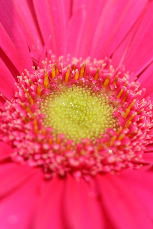7X9A2700.jpg