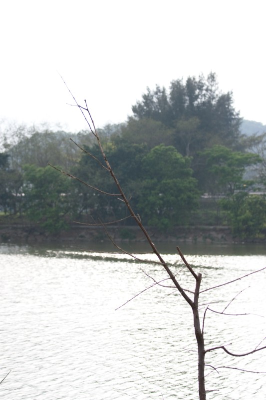 7X9A9449.jpg