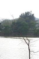 7X9A9449.jpg