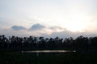 7X9A9506.jpg
