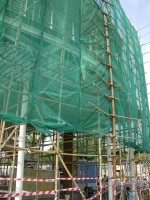 IMGP2203.JPG