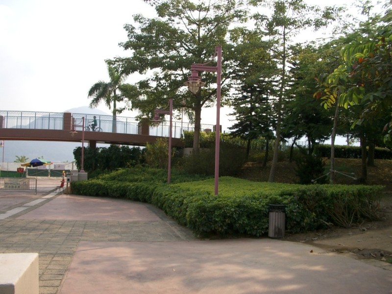 IMGP2206.JPG