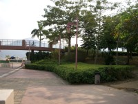 IMGP2206.JPG