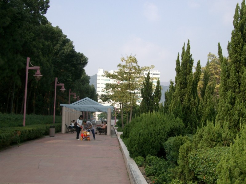 IMGP2207.JPG