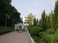 IMGP2207.JPG
