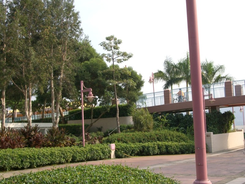 IMGP2208.JPG