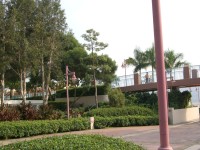 IMGP2208.JPG