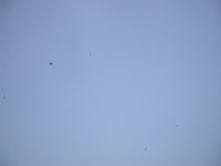 IMGP2228.JPG