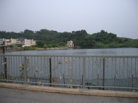 IMGP2247.JPG