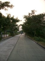 IMGP2249.JPG