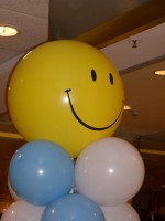 IMGP2442.jpg