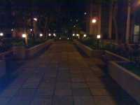 22042006221.jpg